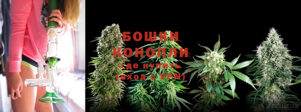 spice Краснослободск