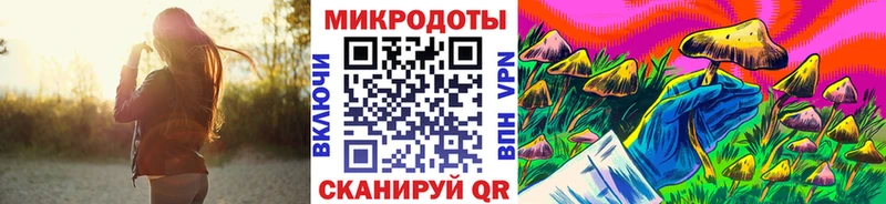 Псилоцибиновые грибы мухоморы  omg как войти  Воронеж 